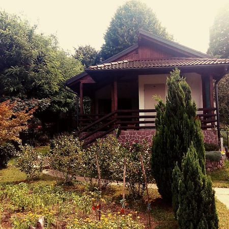 Sunny Paradise Bihać 外观 照片