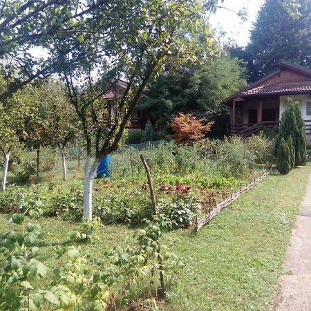 Sunny Paradise Bihać 外观 照片
