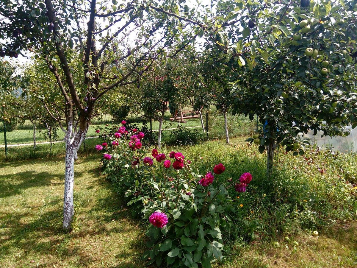 Sunny Paradise Bihać 外观 照片