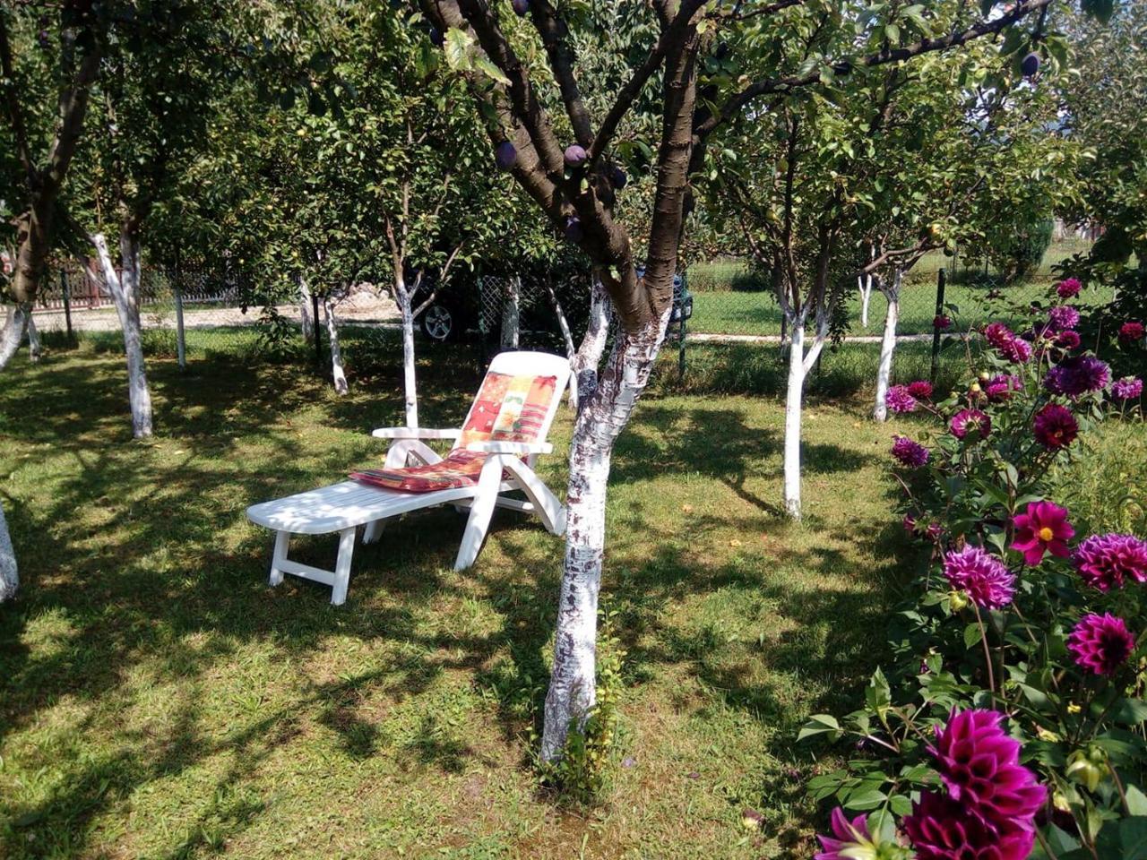 Sunny Paradise Bihać 外观 照片